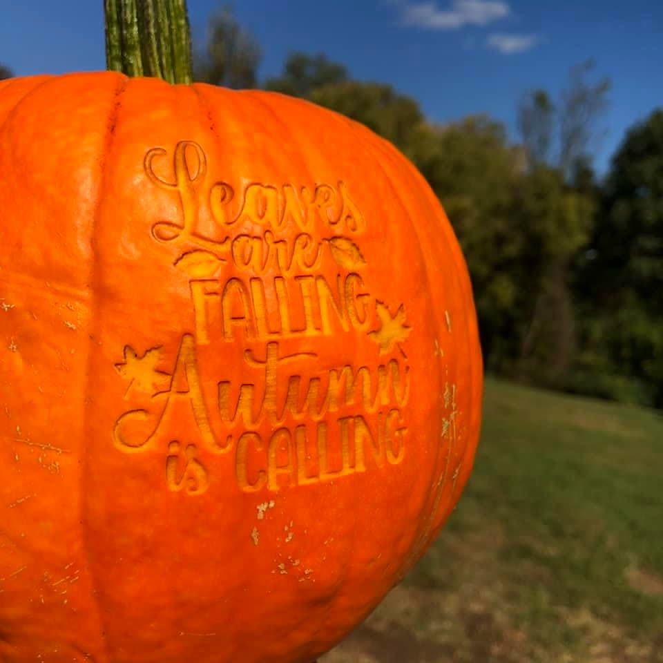 A pumpkin laser-engraved with Leaves are Falling, Autumn is Calling