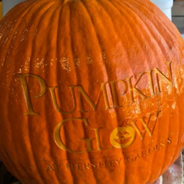 A pumpkin laser-engraved with the Pumpkin Glow at Hershey Gardens logo